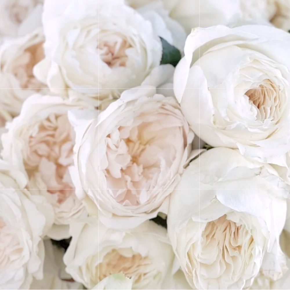 Meet your Posher, Kim